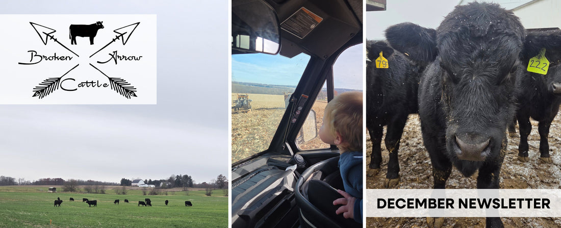 Broken Arrow Farm Updates: December 2025