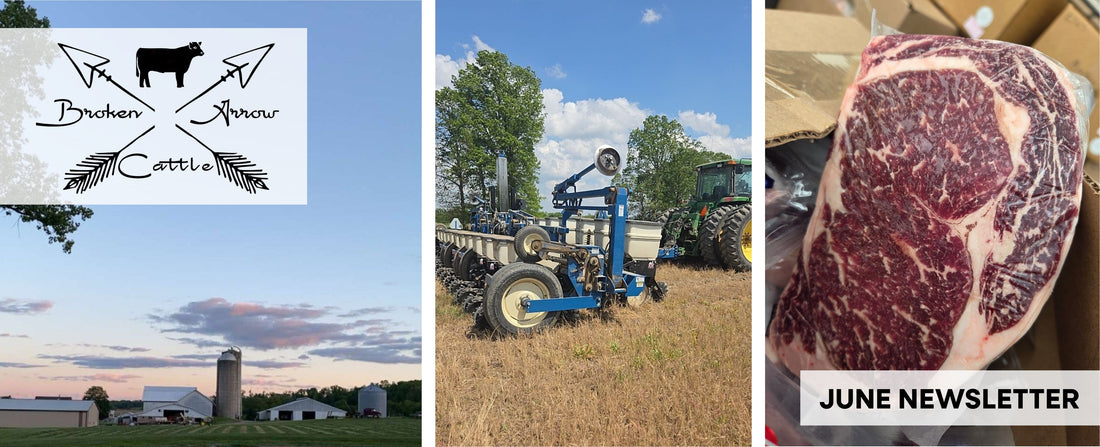 Broken Arrow Farm Updates: June 2026