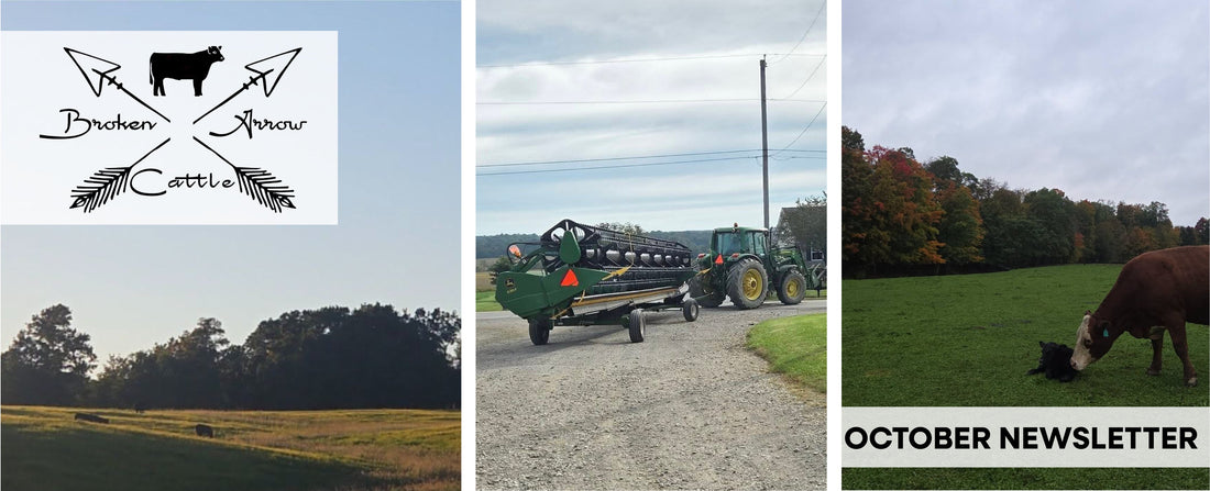 Broken Arrow Farm Updates: October 2026