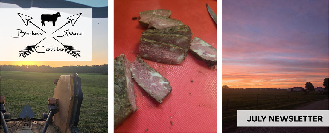 Broken Arrow Farm Updates: July 2026