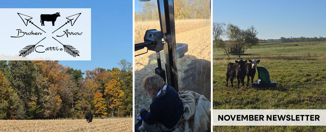 November Farm Updates