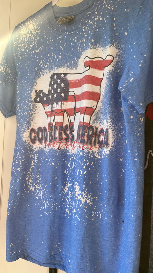 God Bless America Tshirt